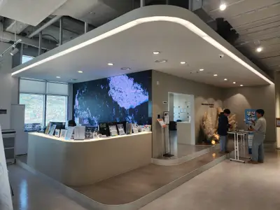 notion image